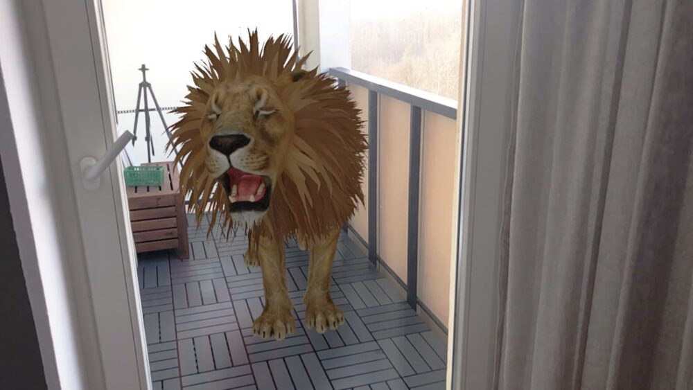 Google 3D Animals – czyli zaproś zwierzę do swojego domu