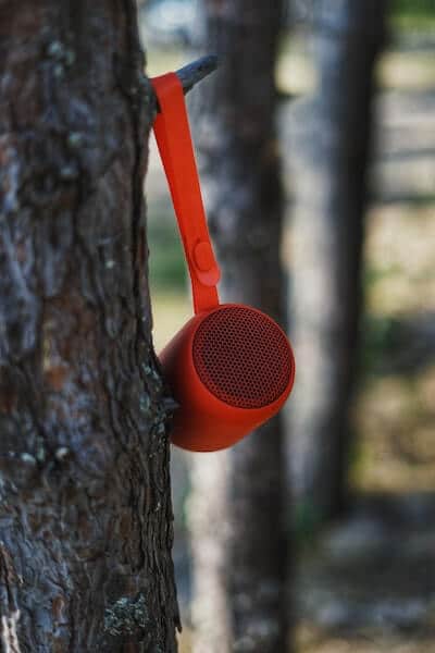 Głośnik bezprzewodowy zawieszony na gałęzi drzewa