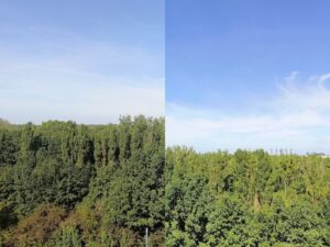 Porównanie zwykłego trybu zdjęć (po lewo) oraz ze wsparciem AI (po prawej) w Oppo Reno8 T