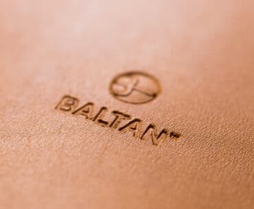 Baltan logo